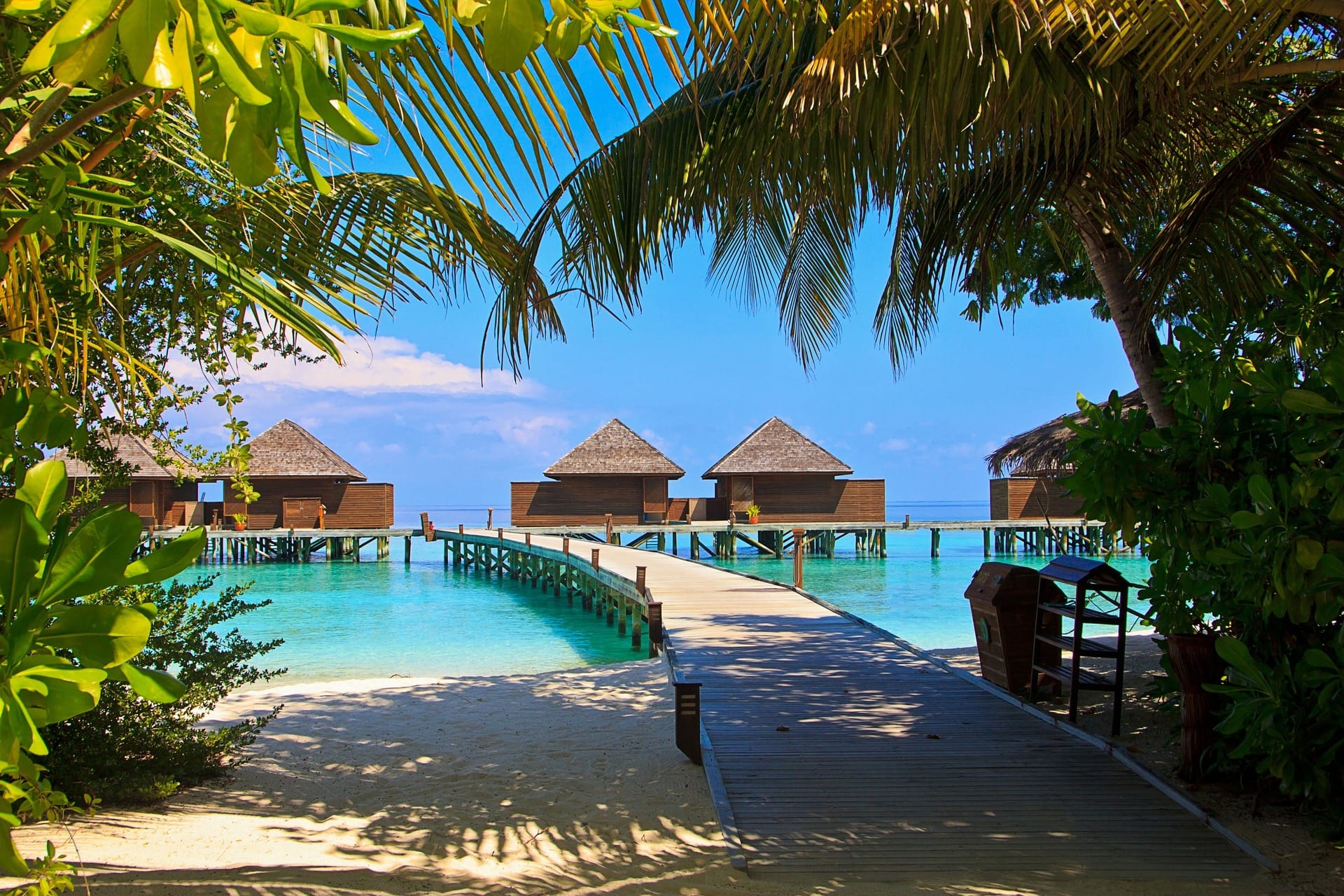 Lux South Ari Atoll Resort : Villa Types, Costs, Transfers, and Activities