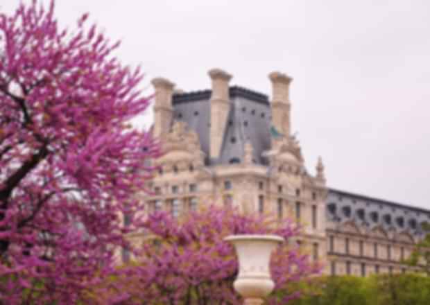 France in March – A Guide to a Great Vacation!