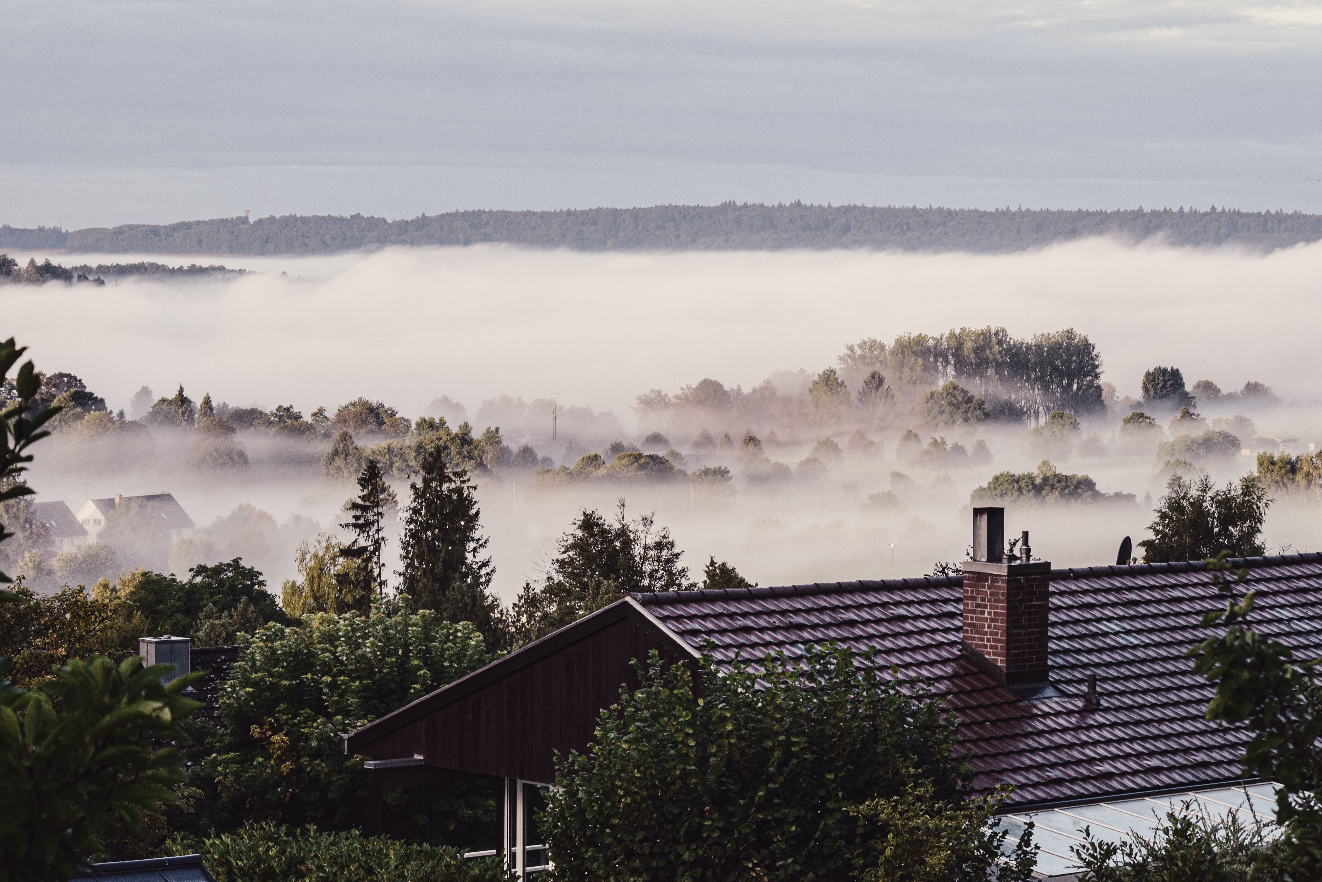 Germany in November