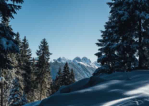 Austria in June: Weather, Top Places To Visit, Things To Do and more!