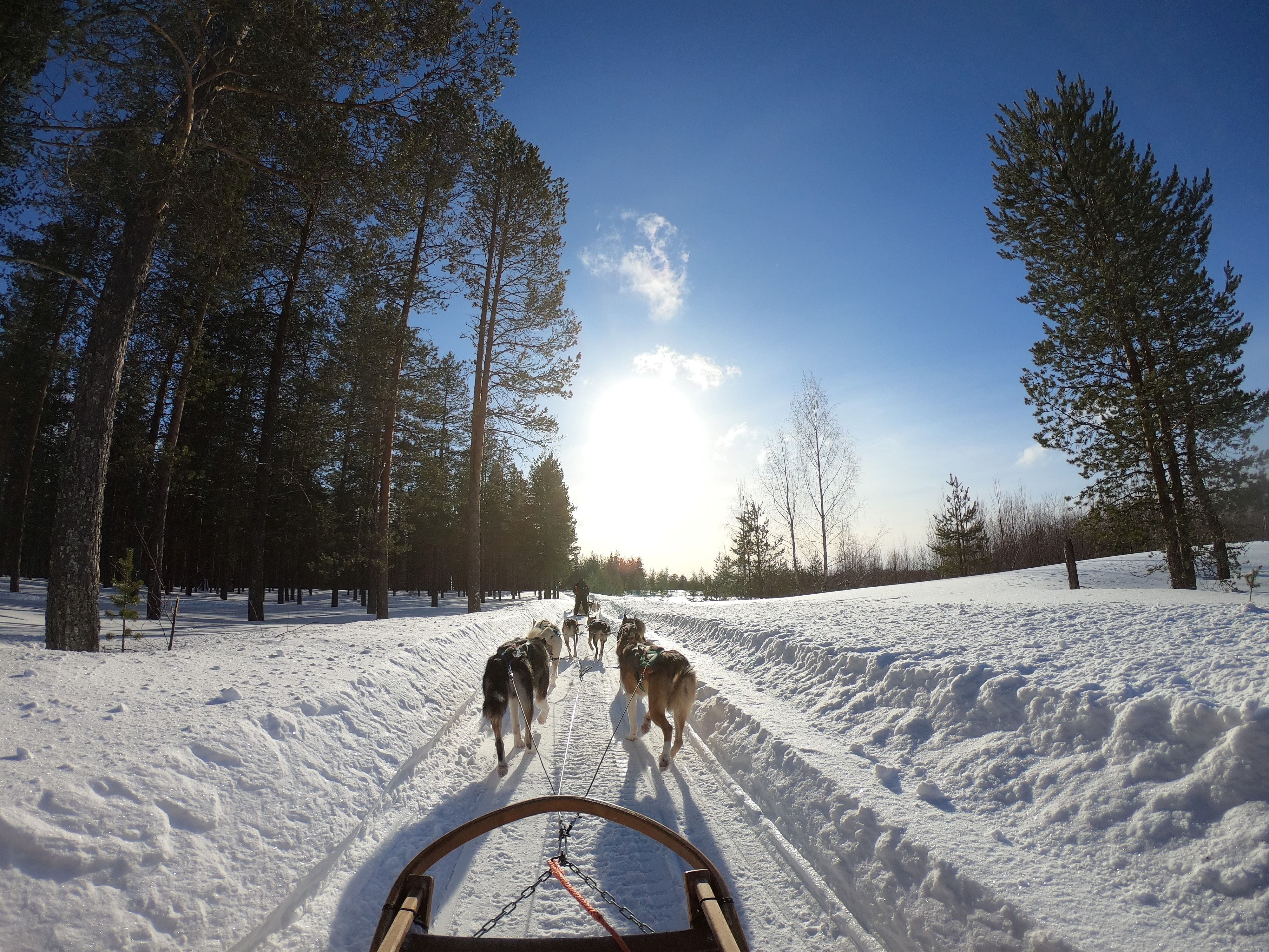 Finland in February