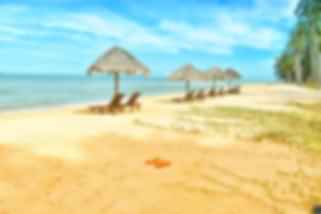 blog-card