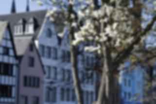 blog-card