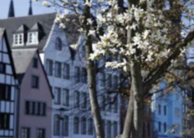 Finland in April – A Complete Guide for a Perfect Spring Vacation!