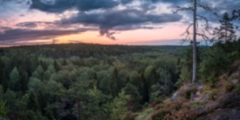 Nuuksio National Park