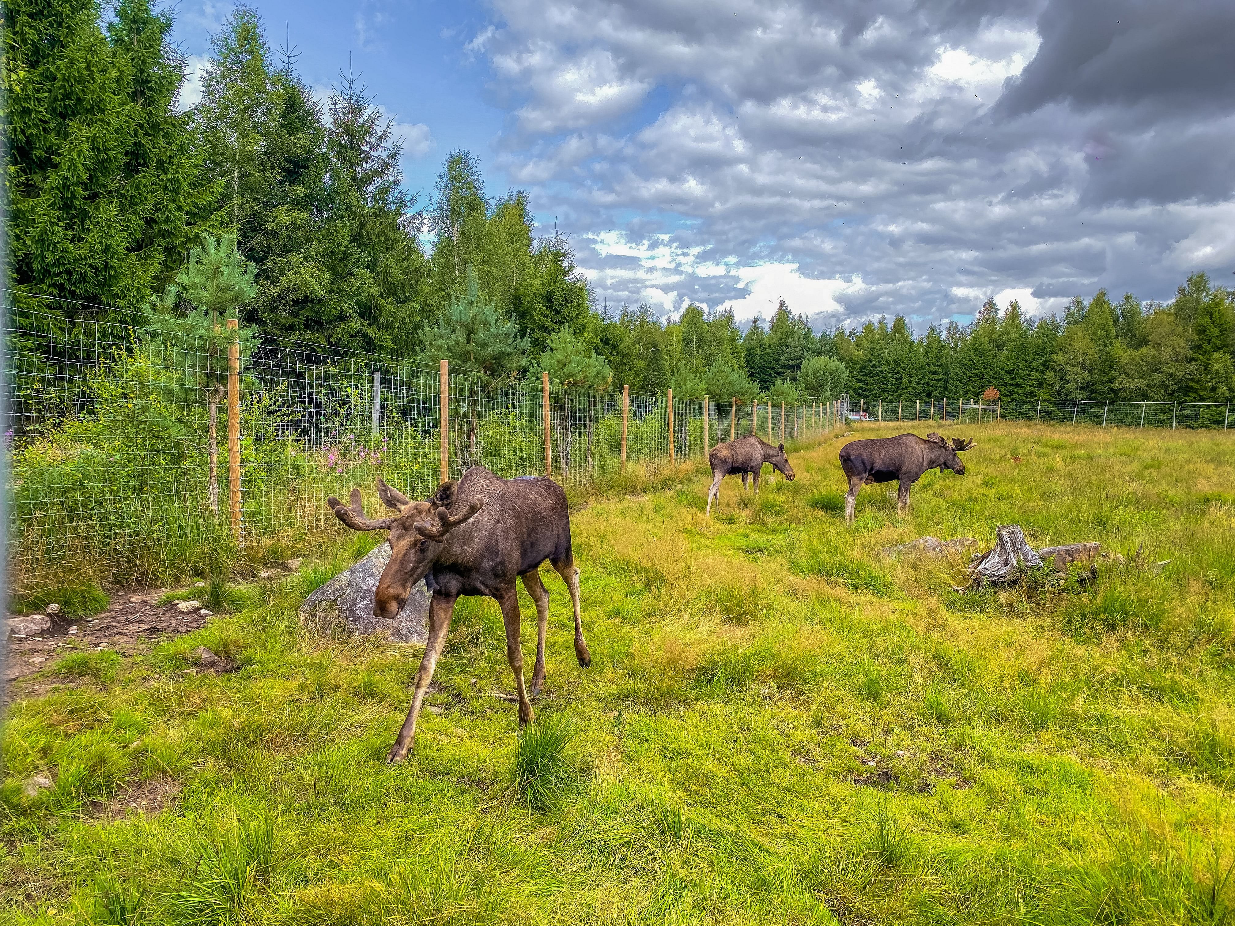 Åland