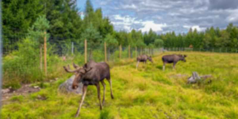 Åland