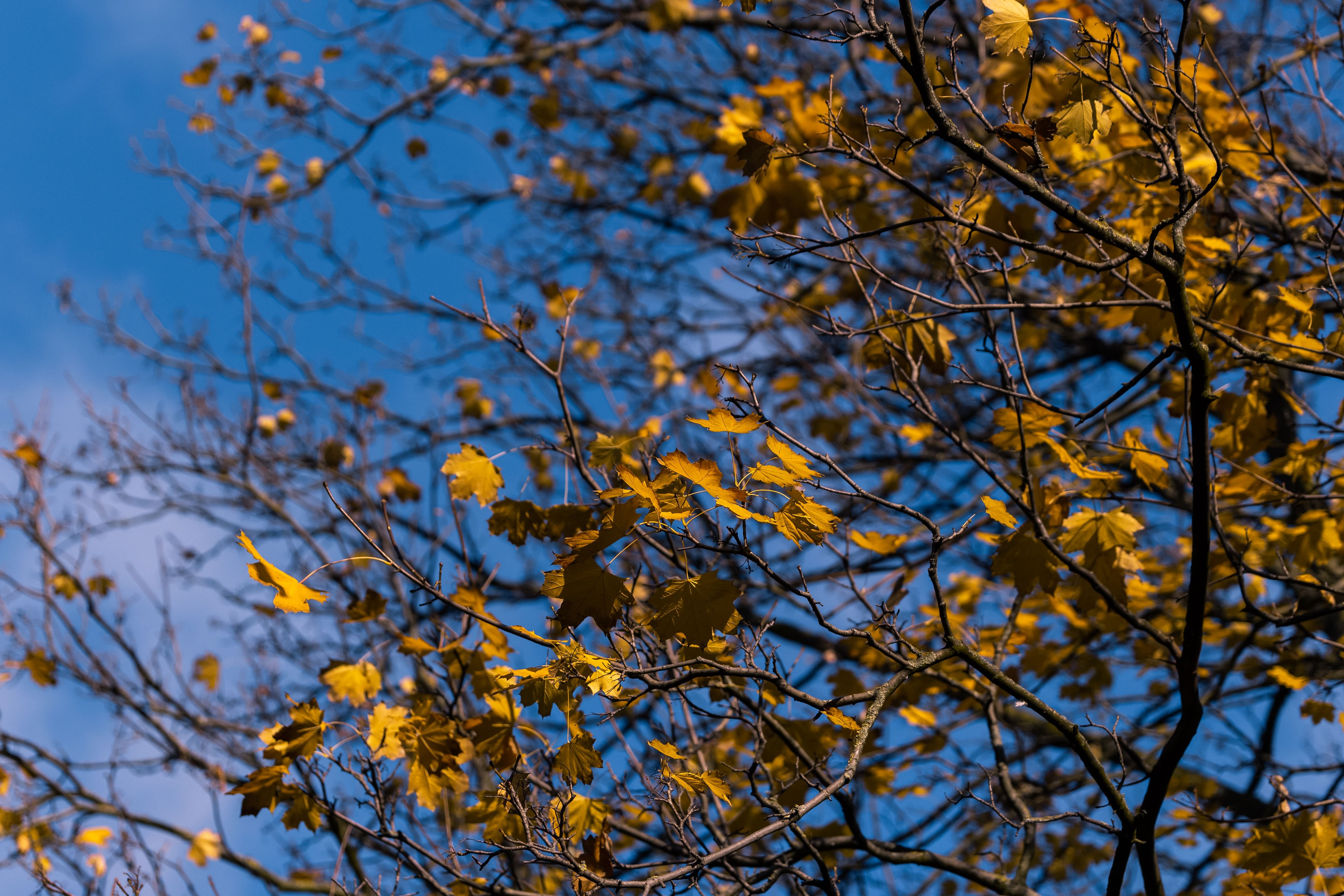 St. Stephen’s Green