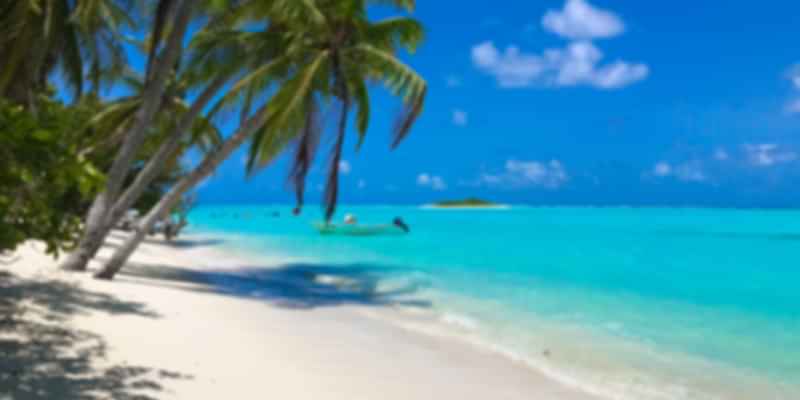 beach view