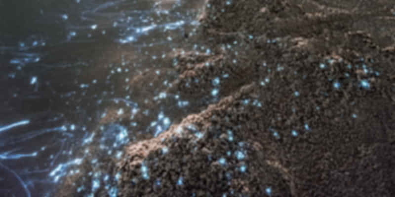 Island hopping in the Maldives