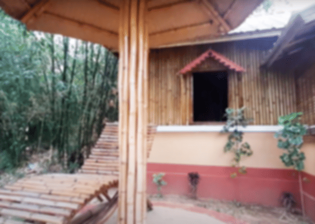 India’s First Bamboo Park in Tripura – An Eco Friendly Initiative