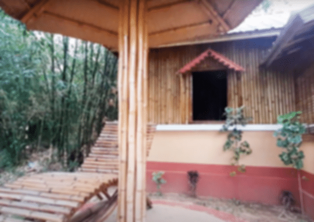 India’s First Bamboo Park in Tripura – An Eco Friendly Initiative