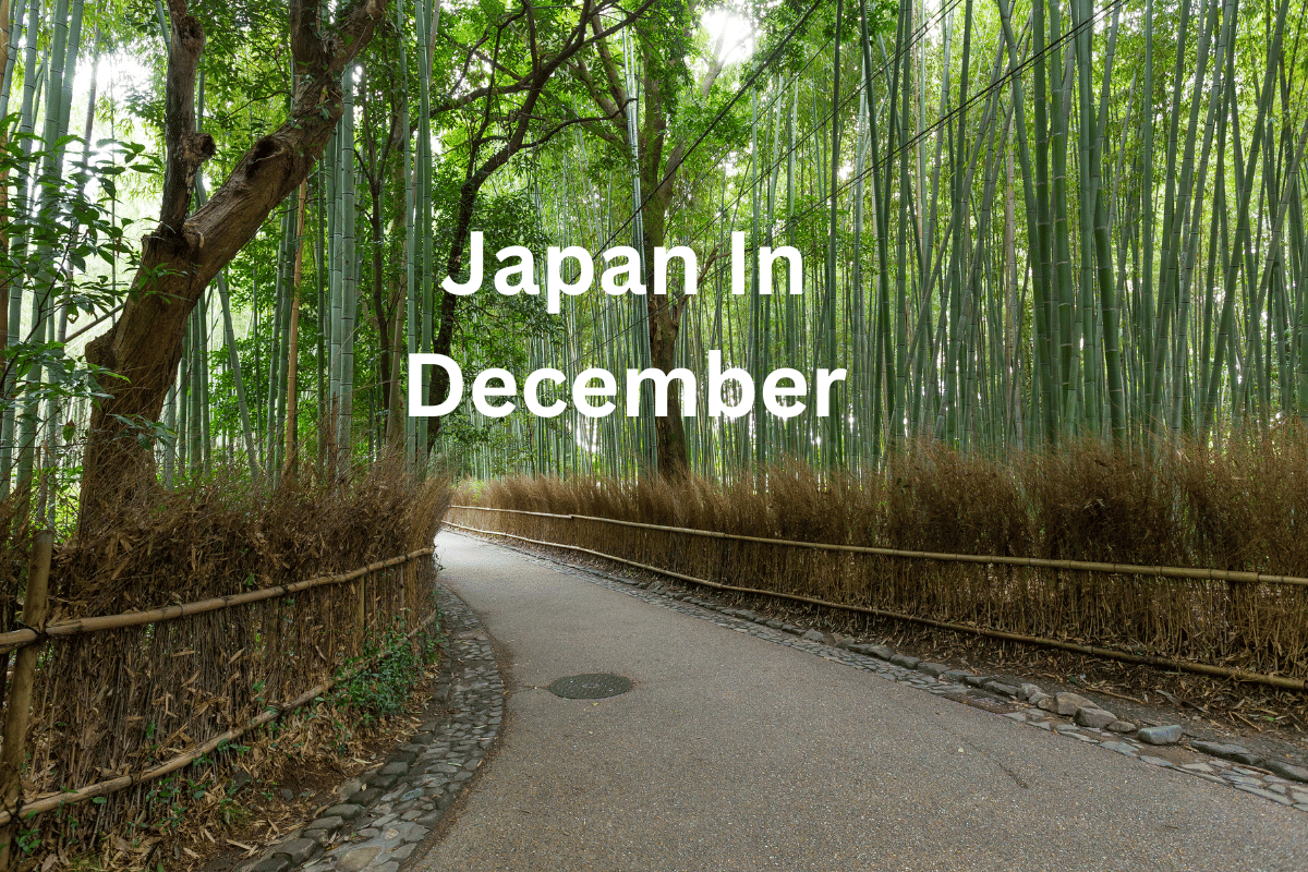 Japan in December: All Things You Need to Know