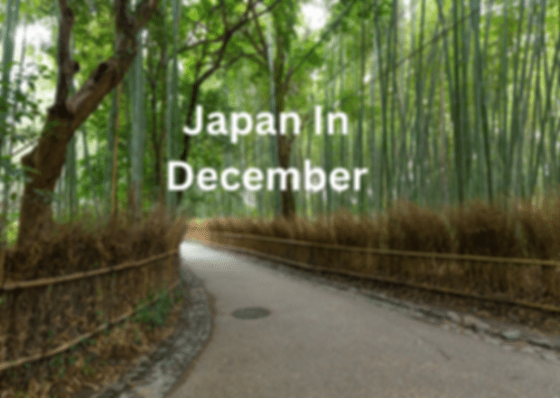 Japan in December: All Things You Need to Know