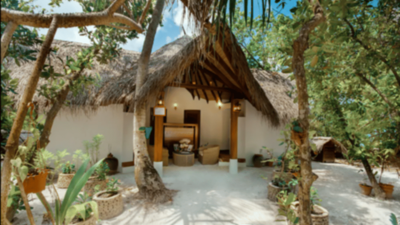 Makunudu Island Resort, Maldives: Your Complete Travel Guide