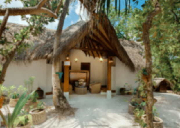 Makunudu Island Resort, Maldives: Your Complete Travel Guide