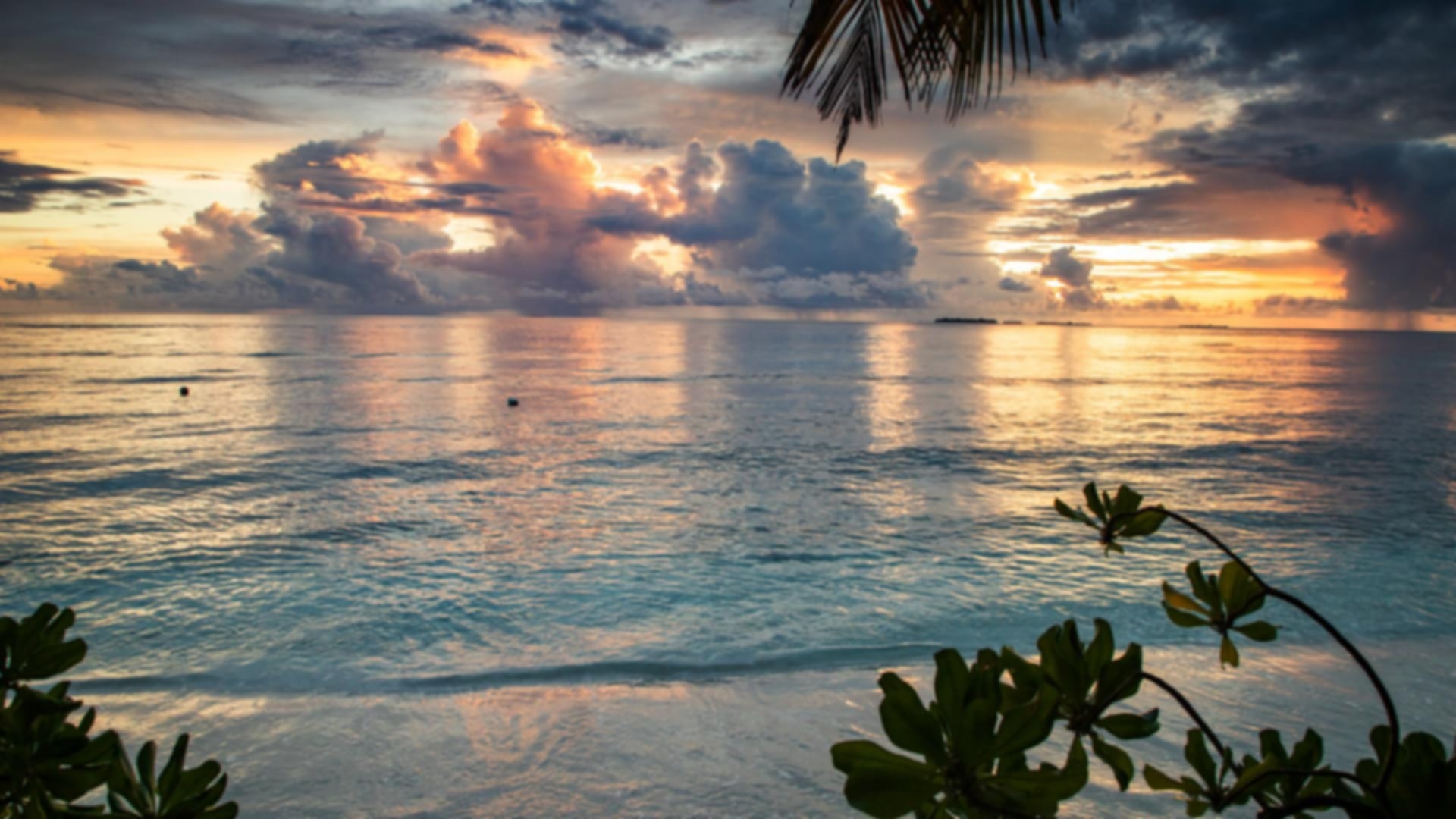 Best Maldives Luxury Resorts for Solo Travellers 2026 Guide
