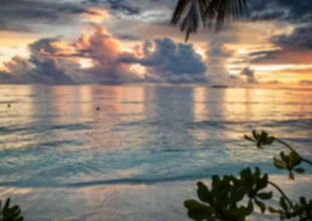 Top 7 Best Maldives Resorts for Solo Travellers