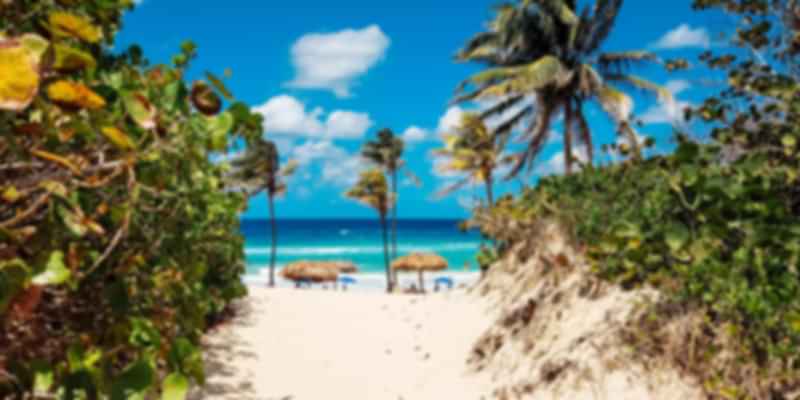 Caribbean