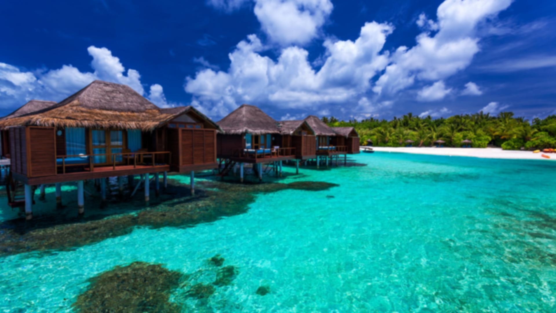 Maldives Beach Villa or Water Villa: Which Maldives Stay is Best for You?