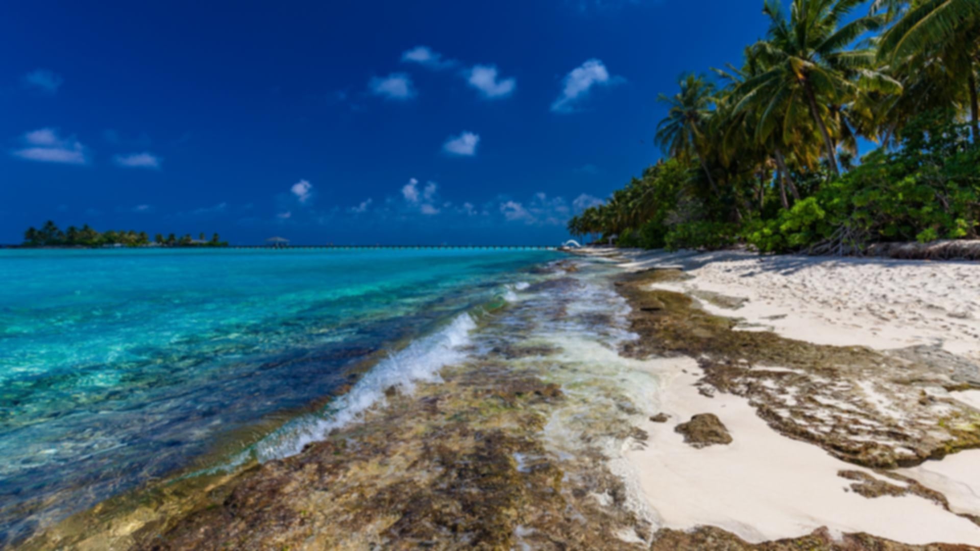 What are the differences between the Maldives vs Caribbean