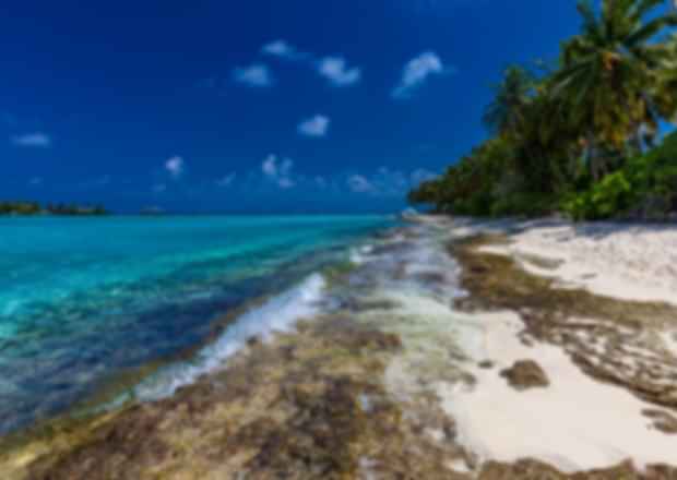 What are the differences between the Maldives vs Caribbean