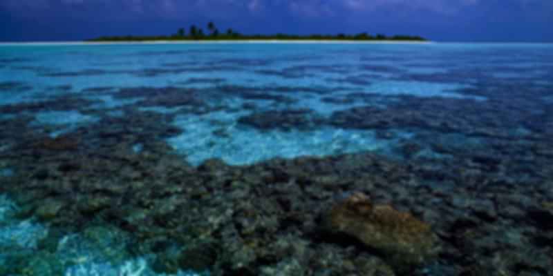 Maldives