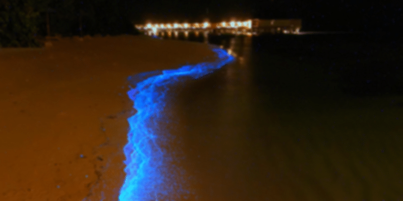Sea of Stars Maldives in August