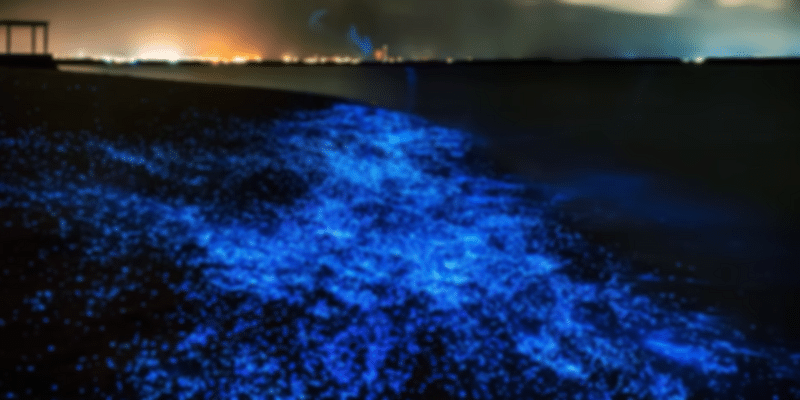 Sea of Stars Maldives
