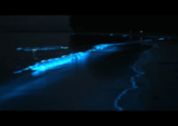 Sea of Stars Maldives: A Magical Experience