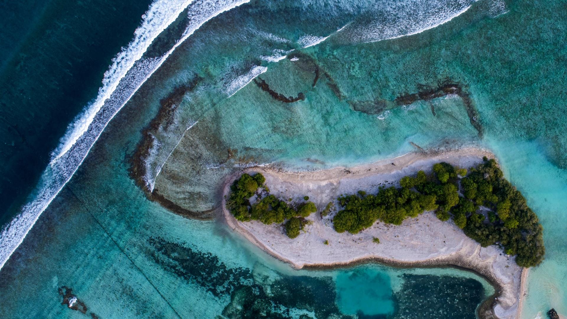 Shaviyani Atoll – Everything You Need to Know