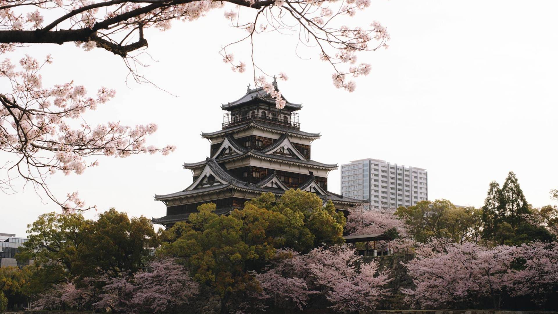 Best Month to See Cherry Blossoms in Japan