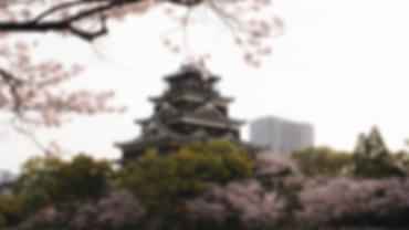 blog-card