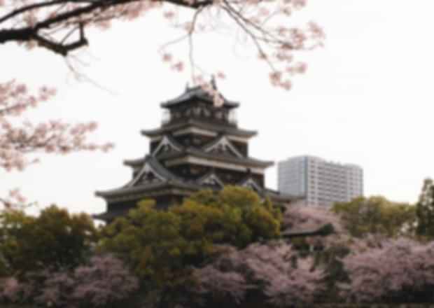 Best Month to See Cherry Blossoms in Japan
