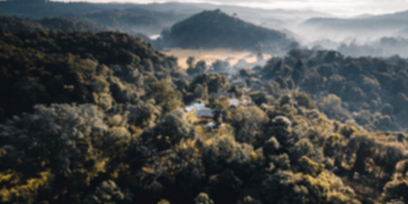 Coorg