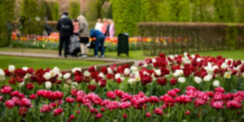 Netherlands