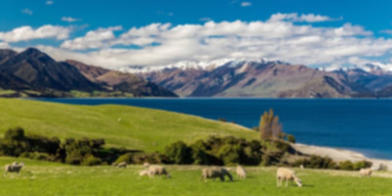 New Zealand