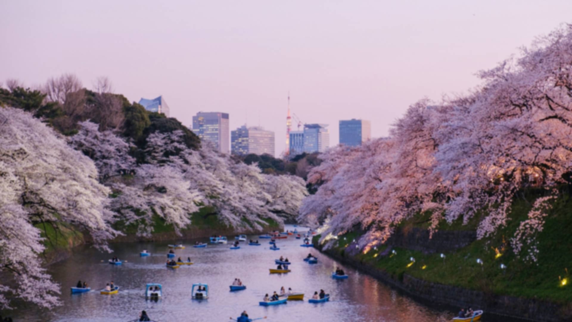 Top 13 Unique Experiences in Japan: Unforgettable Adventures Beyond Temples & Sushi