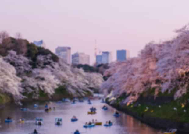 Top 13 Unique Experiences in Japan: Unforgettable Adventures Beyond Temples & Sushi