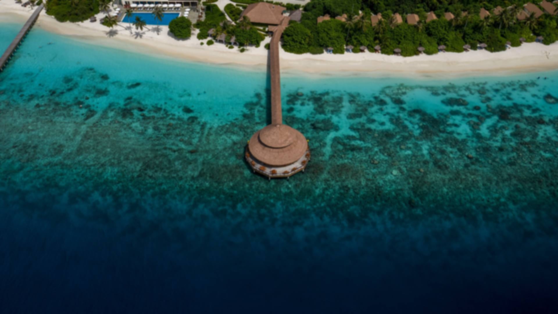 Taj Exotica vs Taj Coral Reef Maldives: Which Taj Resort is Right for You?