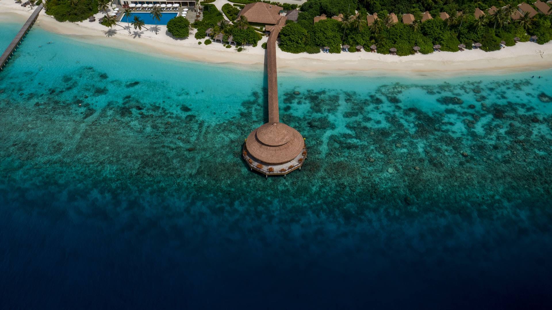 Taj Exotica vs Taj Coral Reef Maldives: Which Taj Resort is Right for You?