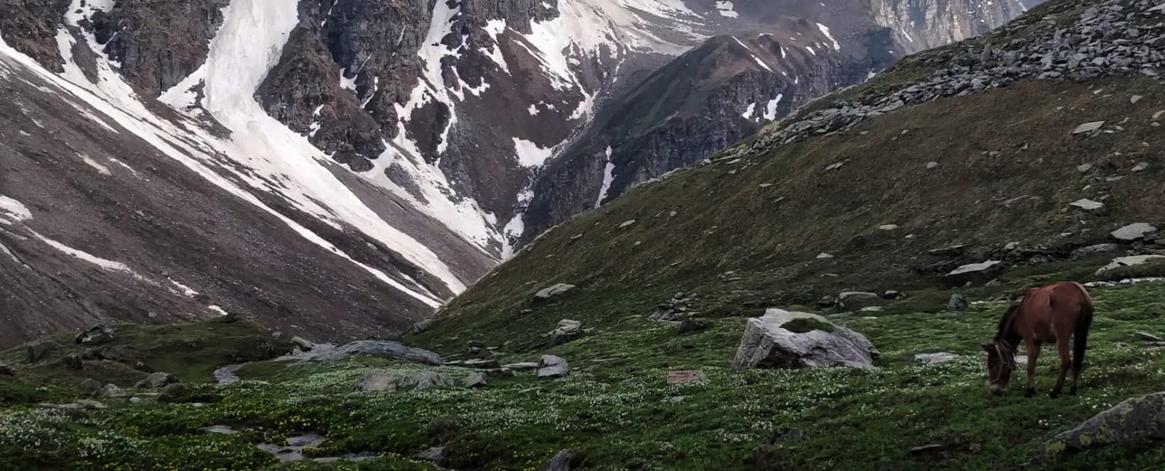 Best Treks in India: Trails That Will Leave You Awestruck
