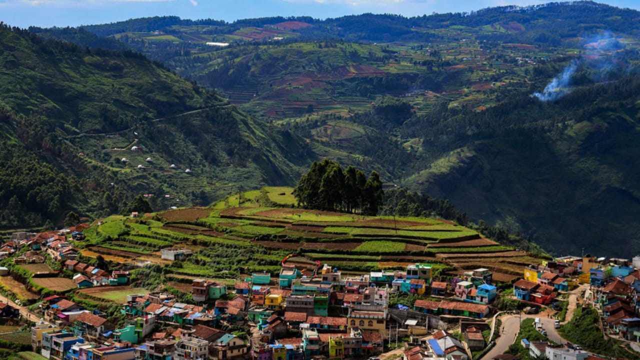 Kodaikanal vs Ooty for Honeymoon: Which One Should You Choose?