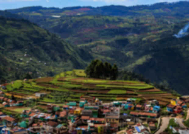 Kodaikanal vs Ooty for Honeymoon: Which One Should You Choose?