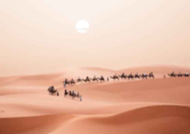 Best Dubai Desert Safari: Evening vs. Overnight Tours