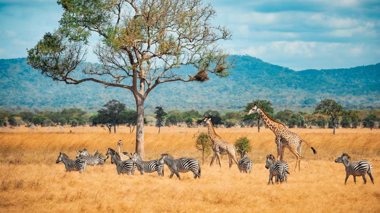 Best African Travel Destinations in 2026