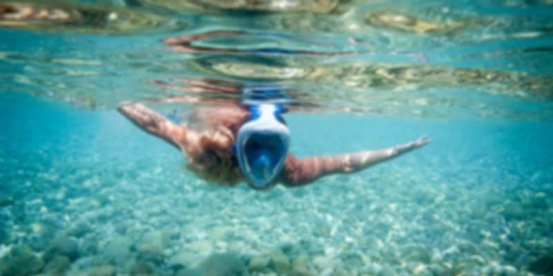 Various top snorkeling destinations exist throughout the Maldives