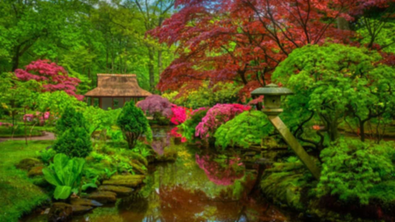 Most Beautiful Japanese Gardens You Must Visit