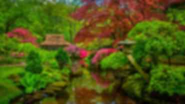 blog-card