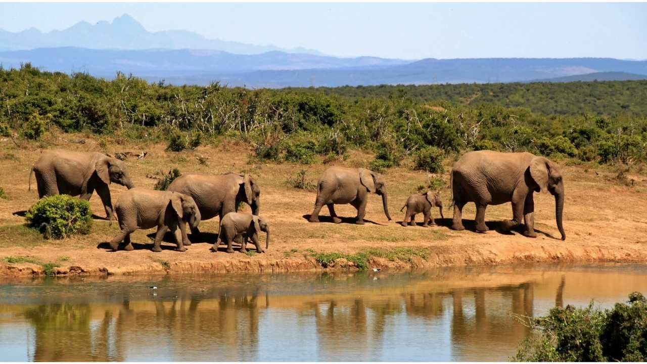 Best Countries to Visit in July: Your Perfect Mid-Year Getaway Guide